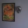 Antony Williams - @antony.williams48 - TikTok