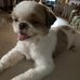 Anthony Yan - Facebook