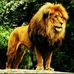 Antwain Mitchell - Facebook
