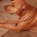 Antwan Benjamin - Facebook