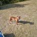 Antwan Flowers - Facebook