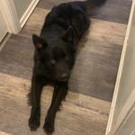 Antwan King - @antwanking293 - Instagram