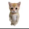 Antwan Moore - @cat_guy_with_w_rizz - TikTok