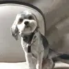 Antwan Smith - @antwan.smith03 - TikTok