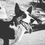 Antwan Taylor - @antwan2007taylor - Instagram