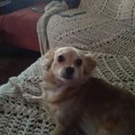 Antwan Boldware - @boldwareantwan - Instagram