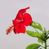 antwonesanders928754 - @antwonesanders928754 - TikTok