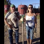 antonia + warren - @moonrise_odyssey - Instagram
