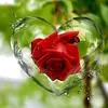 Anu davis - @user549144902098948 - TikTok
