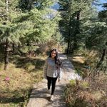 anu jain - @_anujain - Instagram