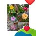 Anu Prasad - Facebook