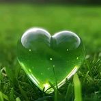 Anu Rose - Facebook