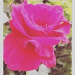 Anu Sahi - @rajesh1265sahu - Instagram