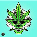 Anu Sreedhar - @mr__fraud___x_ - Instagram