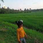 Anu Sreedharan - @anu.sreedharan.33 - Instagram