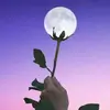Anu Subramanian - @anugrahasubramanian - TikTok