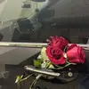 Anu - @anutahir1904 - TikTok