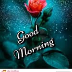Anu Talwar - @anutalwar745 - Instagram