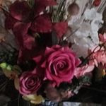 Anu Talwar - @anu.talwar.7528 - Instagram
