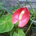 Anu Thomas - Facebook