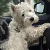 Anu Tulissa vom Heiterwangersee - @anu.tulissa.vomhs - TikTok