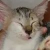 anutulit - @anutulit - TikTok