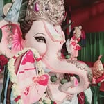 Anu Radha Vemula - @anuradhaanuradha853102021 - Instagram