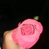 Anu @venkatesh - @user737030090043739 - TikTok