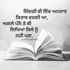 anu virk - @user509344639 - TikTok