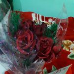 anu_virk_99 - @anu_virk_99 - Instagram