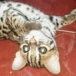 Anuar Abdullah - @anuarabdullah681119 - Instagram