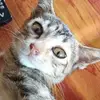 Anuar Ahmad - @anuar.ahmad7 - TikTok