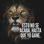 Anuar Castro - @anuar_castro1 - Instagram