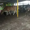 Anuar Castro - @anuar.castro79 - TikTok