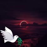 Anuar Mercado Florez - @anuarmercadof - Instagram