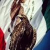 Anuar Molina Gil - @anuar.molina.gil - TikTok