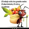 Anuar Moreno - @anuar.moreno22 - TikTok