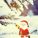Anuar Perez - @anuar.perez.1690 - Instagram