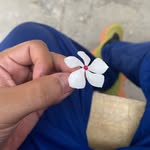 Anuar Reyes - @enrique_greyes - Instagram
