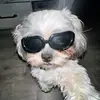 Anuar Rivera - @anuar.rivera51 - TikTok
