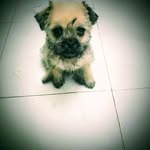 Anuar Torres - @anuar.torres.56679015 - Instagram