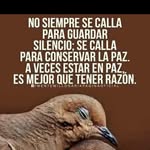 Anuar Torres - @raymundo.melosanchez - Instagram