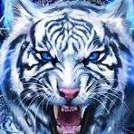 Anuar Torres - Facebook