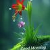 Anubhav Kumar - Facebook
