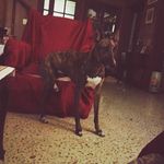 Anubis Martinez - @anubismartinez02 - Instagram