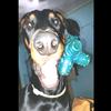 Anubis - @anubis_perez - TikTok