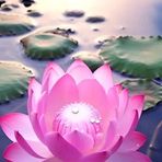 Anubys Perez - Facebook