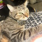 Anubis torres - @anubis_424689 - Instagram