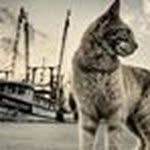 anuj Daftary - @anuj_daftary - Instagram