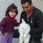 Anuj Dua - @anuj.dua.92 - Instagram